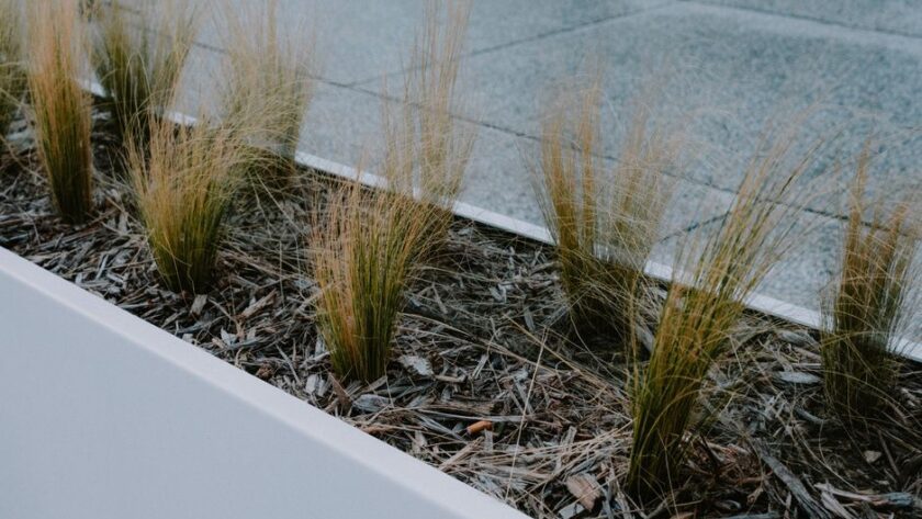 Een stijlvolle grote stalen plantenbak in een moderne tuin met bloemen en groen.